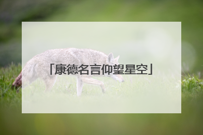 康德名言仰望星空