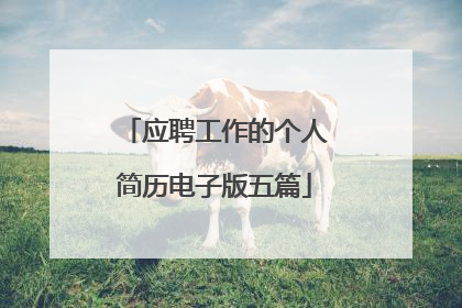应聘工作的个人简历电子版五篇