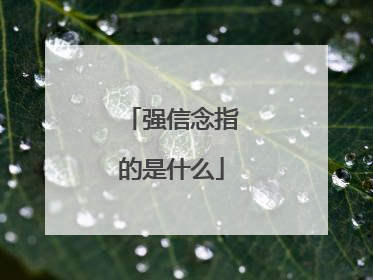 强信念指的是什么