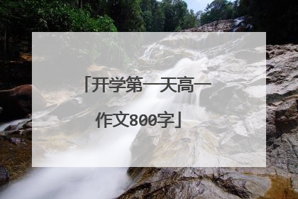 开学第一天高一作文800字