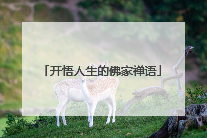 开悟人生的佛家禅语