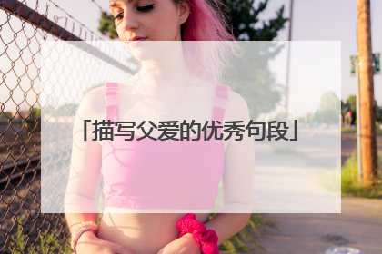 描写父爱的优秀句段