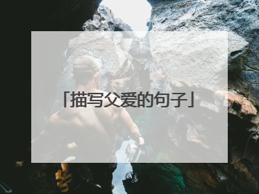描写父爱的句子