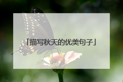 描写秋天的优美句子