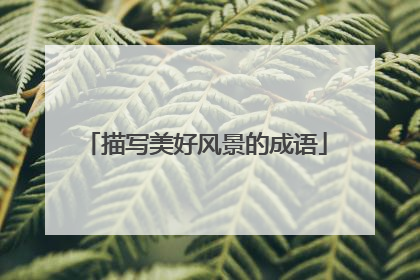 描写美好风景的成语