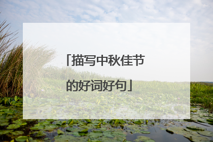 描写中秋佳节的好词好句