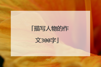 描写人物的作文300字