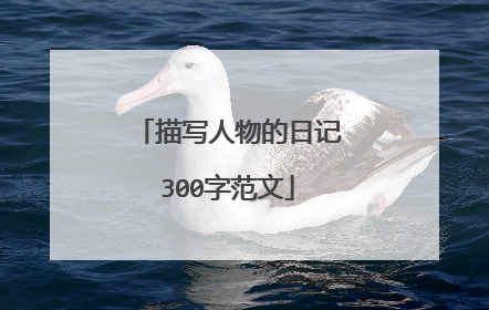 描写人物的日记300字范文