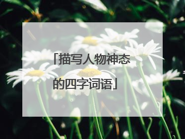 描写人物神态的四字词语