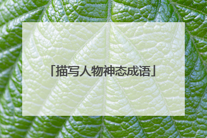 描写人物神态成语