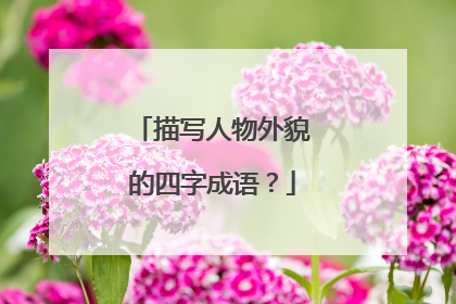 描写人物外貌的四字成语？