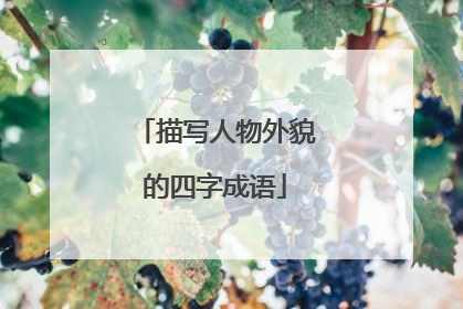 描写人物外貌的四字成语