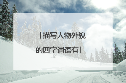 描写人物外貌的四字词语有