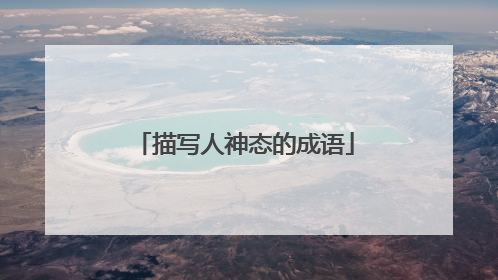 描写人神态的成语