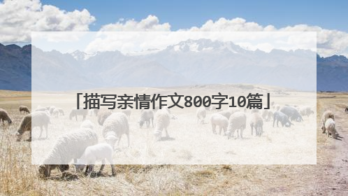 描写亲情作文800字10篇