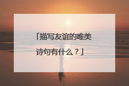 描写友谊的唯美诗句有什么？