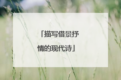 描写借景抒情的现代诗