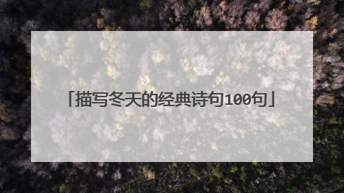 描写冬天的经典诗句100句