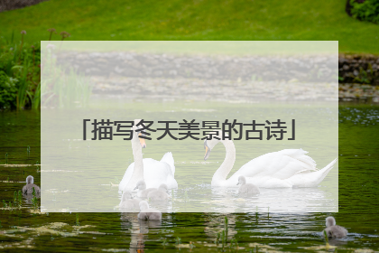 描写冬天美景的古诗