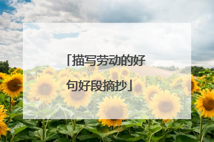 描写劳动的好句好段摘抄