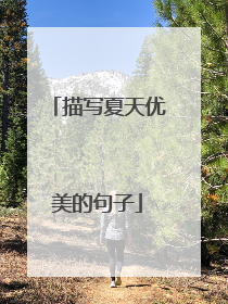 描写夏天优美的句子