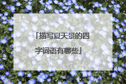 描写夏天景的四字词语有哪些