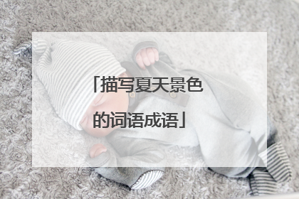 描写夏天景色的词语成语
