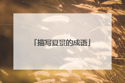 描写夏景的成语
