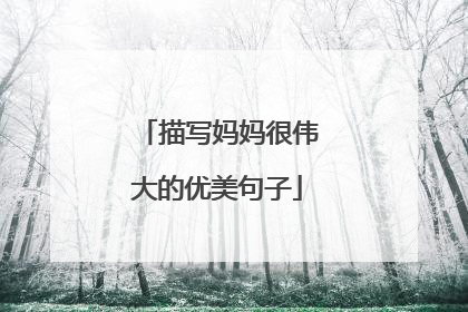 描写妈妈很伟大的优美句子