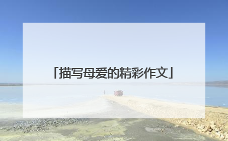 描写母爱的精彩作文