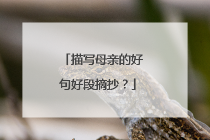 描写母亲的好句好段摘抄？