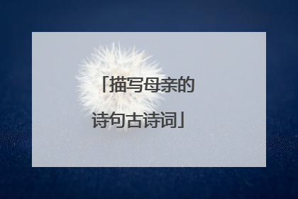 描写母亲的诗句古诗词