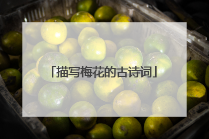 描写梅花的古诗词