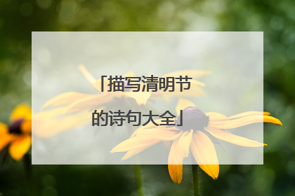 描写清明节的诗句大全