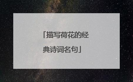 描写荷花的经典诗词名句