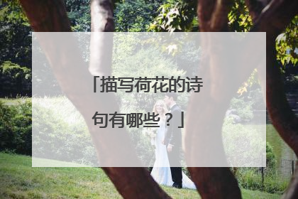 描写荷花的诗句有哪些？