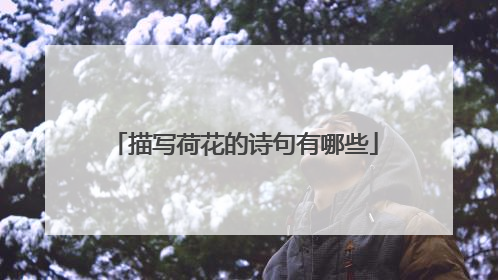 描写荷花的诗句有哪些