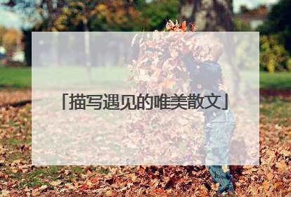 描写遇见的唯美散文