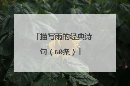 描写雨的经典诗句（60条）