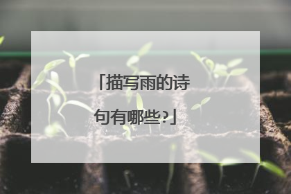 描写雨的诗句有哪些?