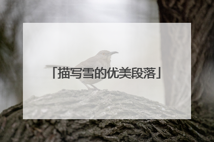 描写雪的优美段落