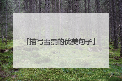 描写雪景的优美句子