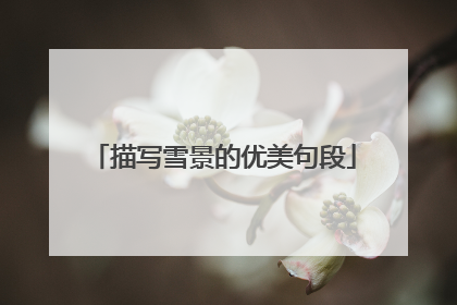 描写雪景的优美句段