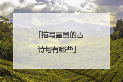 描写雪景的古诗句有哪些