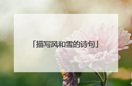 描写风和雪的诗句