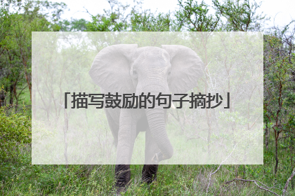 描写鼓励的句子摘抄