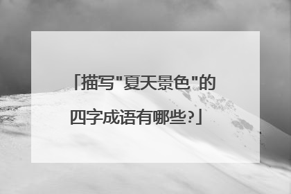 描写