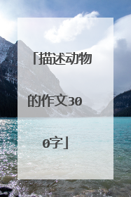 描述动物的作文300字