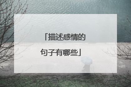 描述感情的句子有哪些