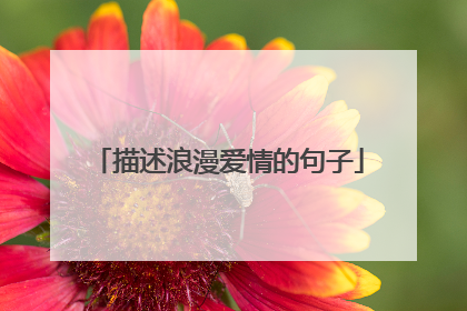 描述浪漫爱情的句子